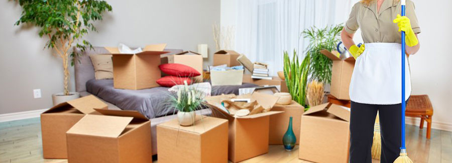 A bright and clean living area after cleaning